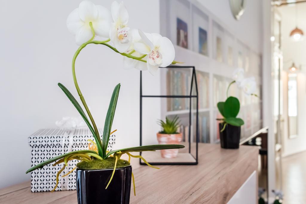 Bpr Purehome Apartment Budapeszt Zewnętrze zdjęcie